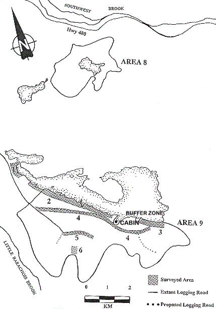 Logging Area 9, Forestry Management District 14