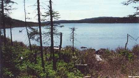 Survey Area 1, View North to the Narrows from the Boat Dock